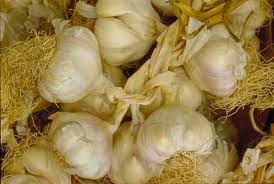 Manufacturers Exporters and Wholesale Suppliers of Garlic Oil Kannauj Uttar Pradesh